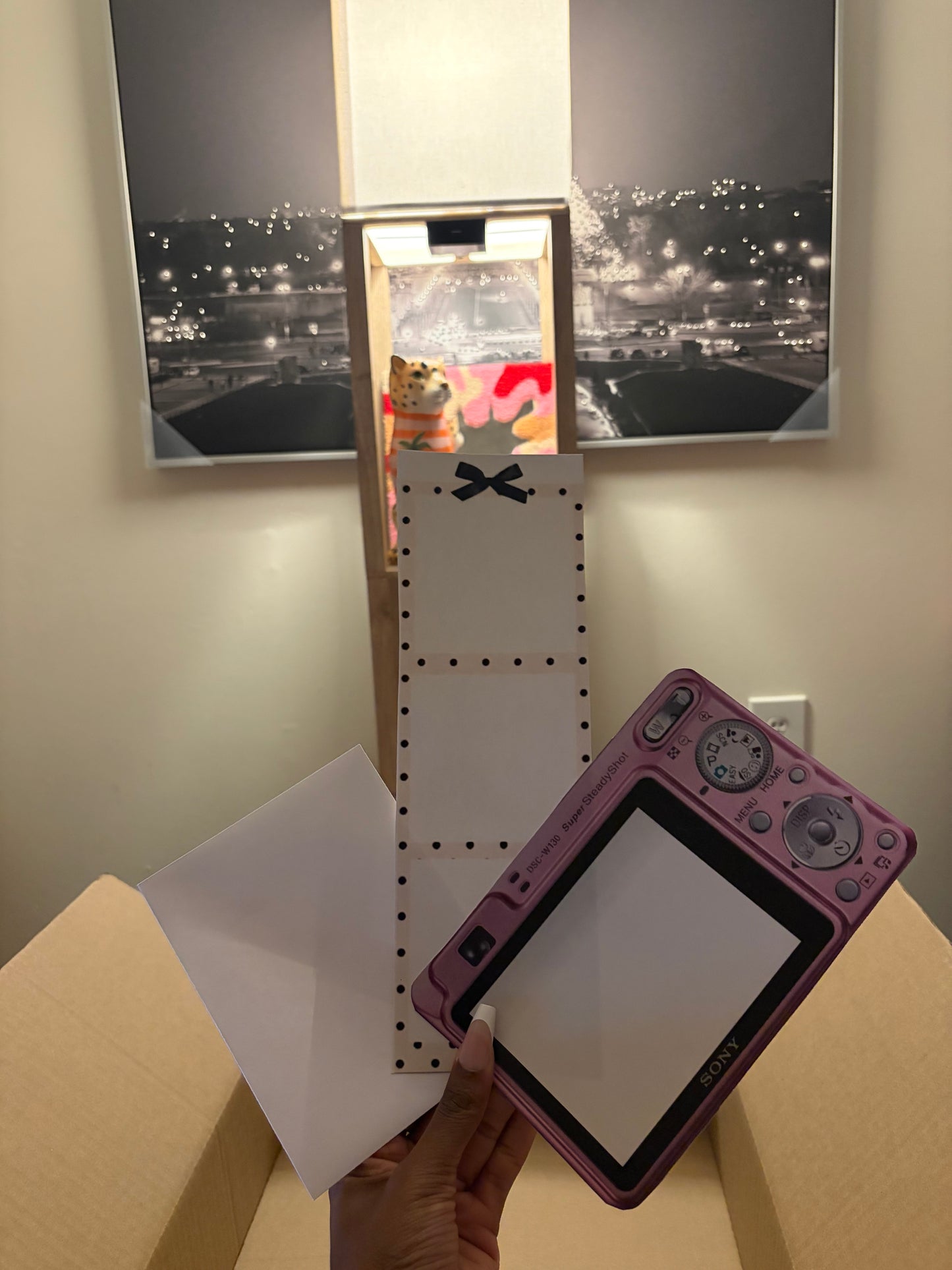 The capsule kit